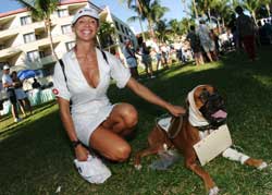2003 Pet Masquerade photo - Duval Street, Key West